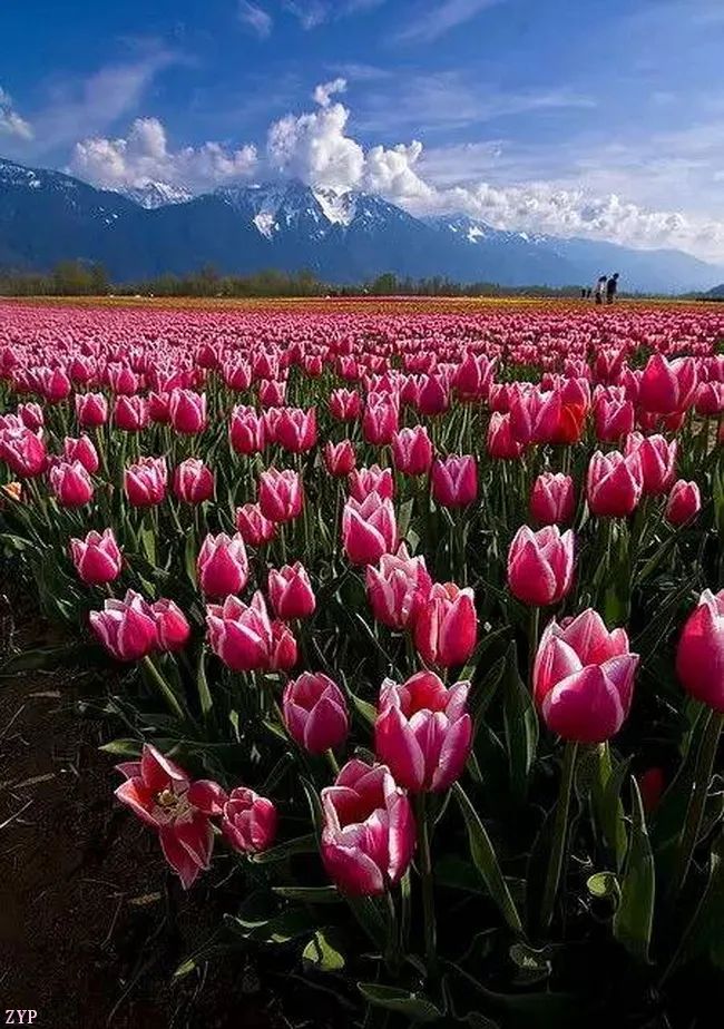 太美了100个世界级美景,全球100张绝世美景