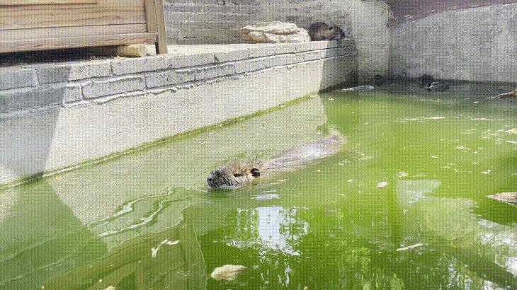 张家港农场网红打卡,周边农场网红打卡点创意