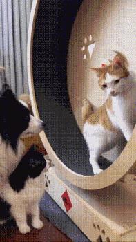 女友刚洗完澡该怎么回复,女朋友洗完澡冷得很该怎么回复