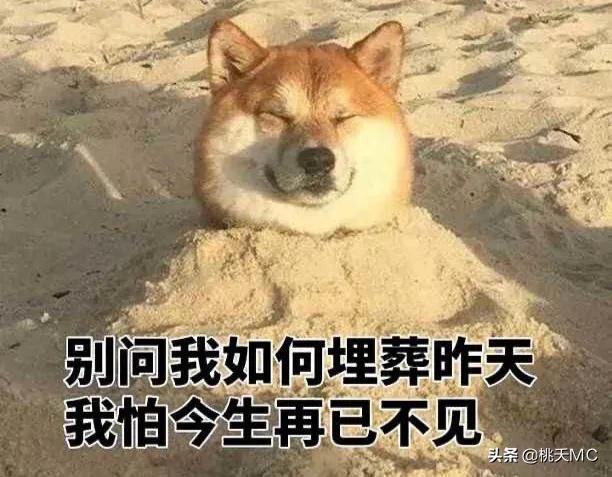 男人一辈子不结婚的生活,男人一辈子不恋爱会怎么样