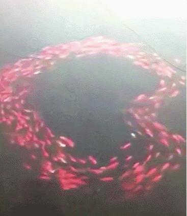 100个大自然奇观图片,世界50大自然奇观排名