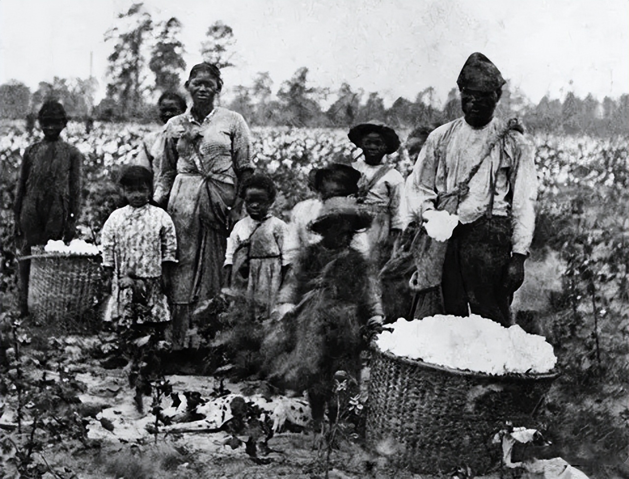 比鞭子、锁链、烙铁恐怖多了，为何轧棉机成为黑奴最痛恨的发明？