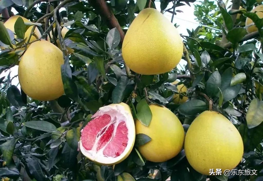 到海南乐东旅游攻略,乐东出发一日游