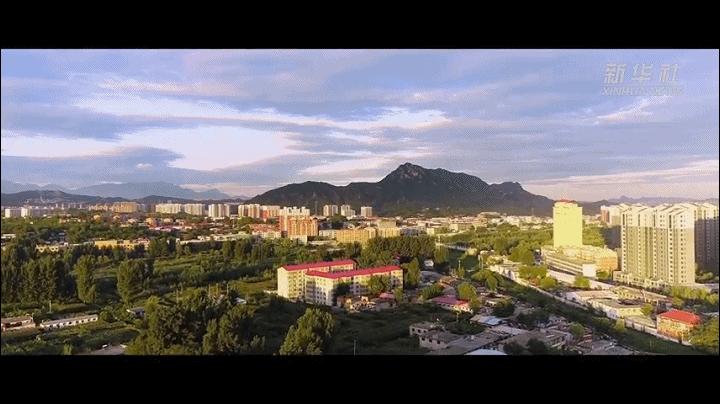 梦想种子发芽视频,梦想种子的视频