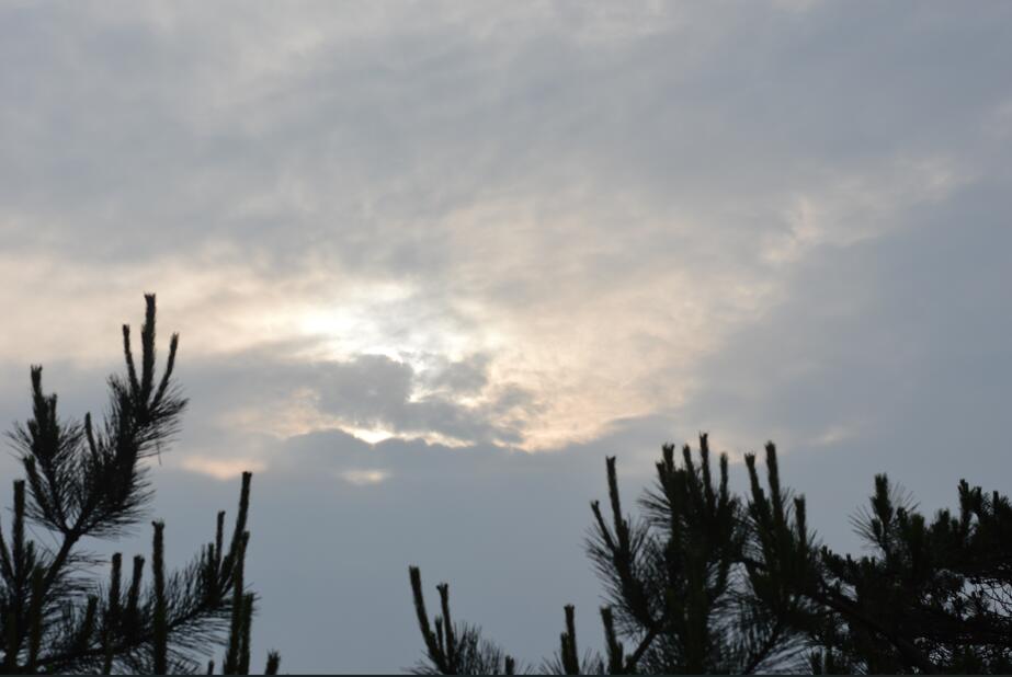 大明山牵牛岗露营,大明山牵牛岗攻略