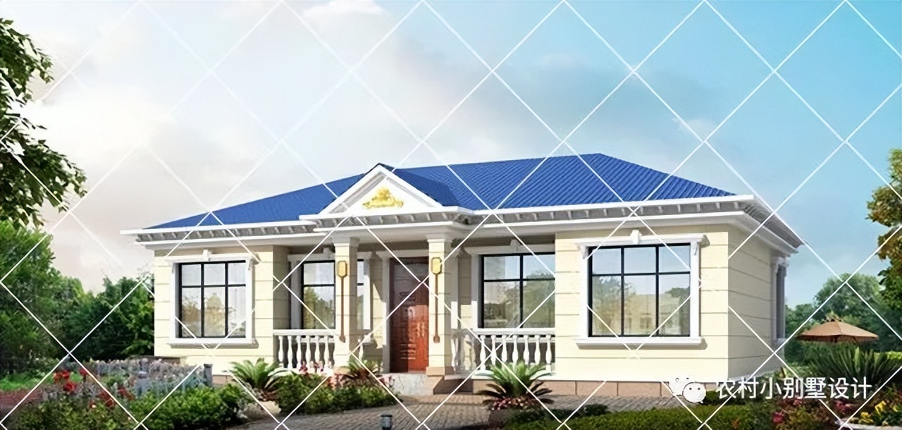一层半层小别墅新款农村自建房,农村自建房一层别墅设计最新款