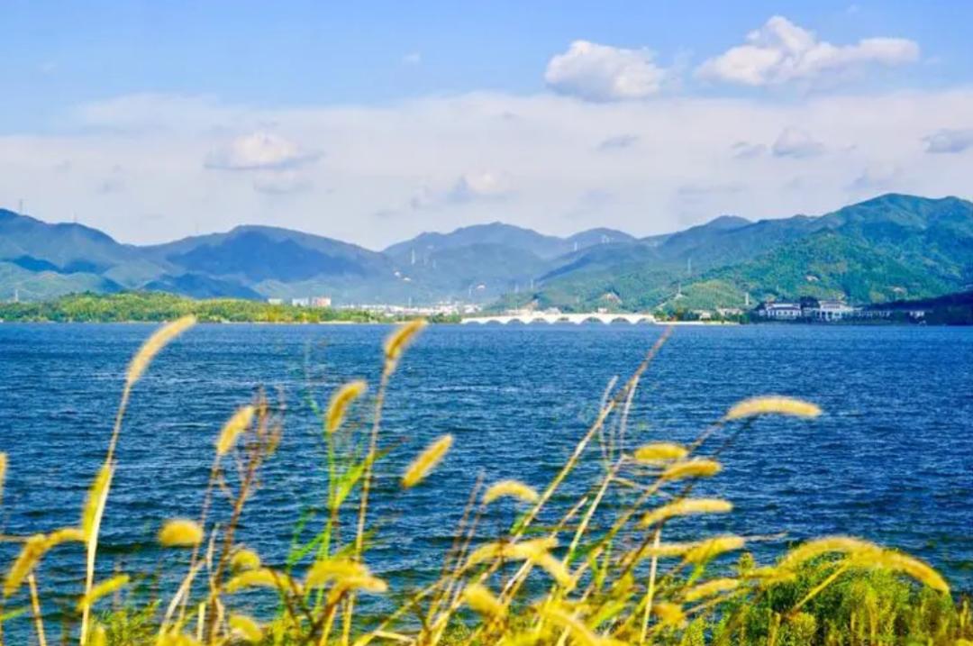 浙江余姚亲子游推荐,慈溪余姚亲子游一日游攻略