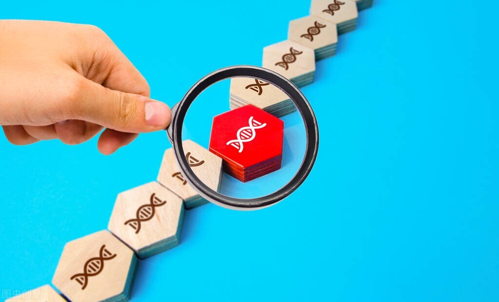 基因递送系统,基因递送载体