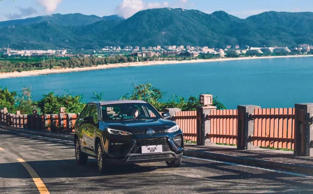 混动怎么解释,混动的解释