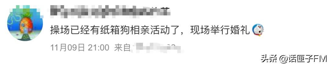 我有“奥特曼狗”，你有啥狗？宿舍养“狗”火遍各大高校！心理专家提醒来了