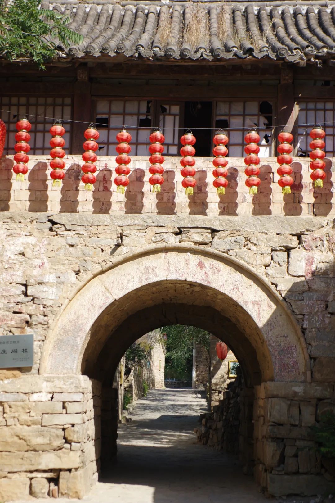 鹿泉免费摘柿子的绝佳去处,鹿泉段庄摘柿子