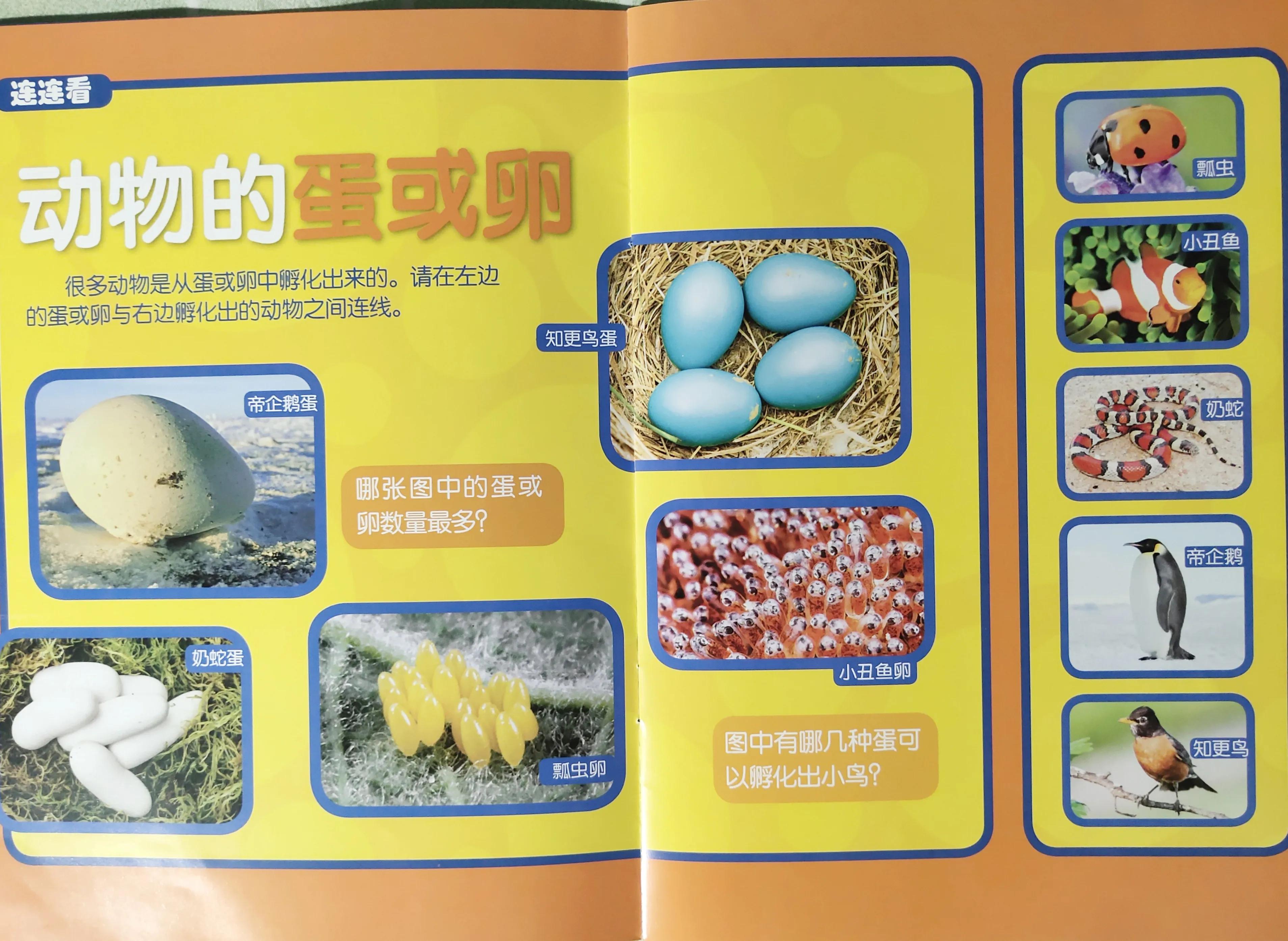 环球少年地理少年版适合多大孩子,环球少年地理阅读收获