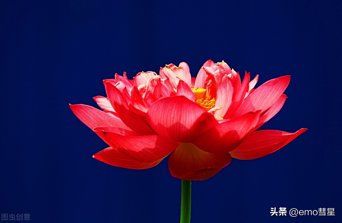 为什么有的女生很容易被大叔喜欢,小女生为什么喜欢大叔型的