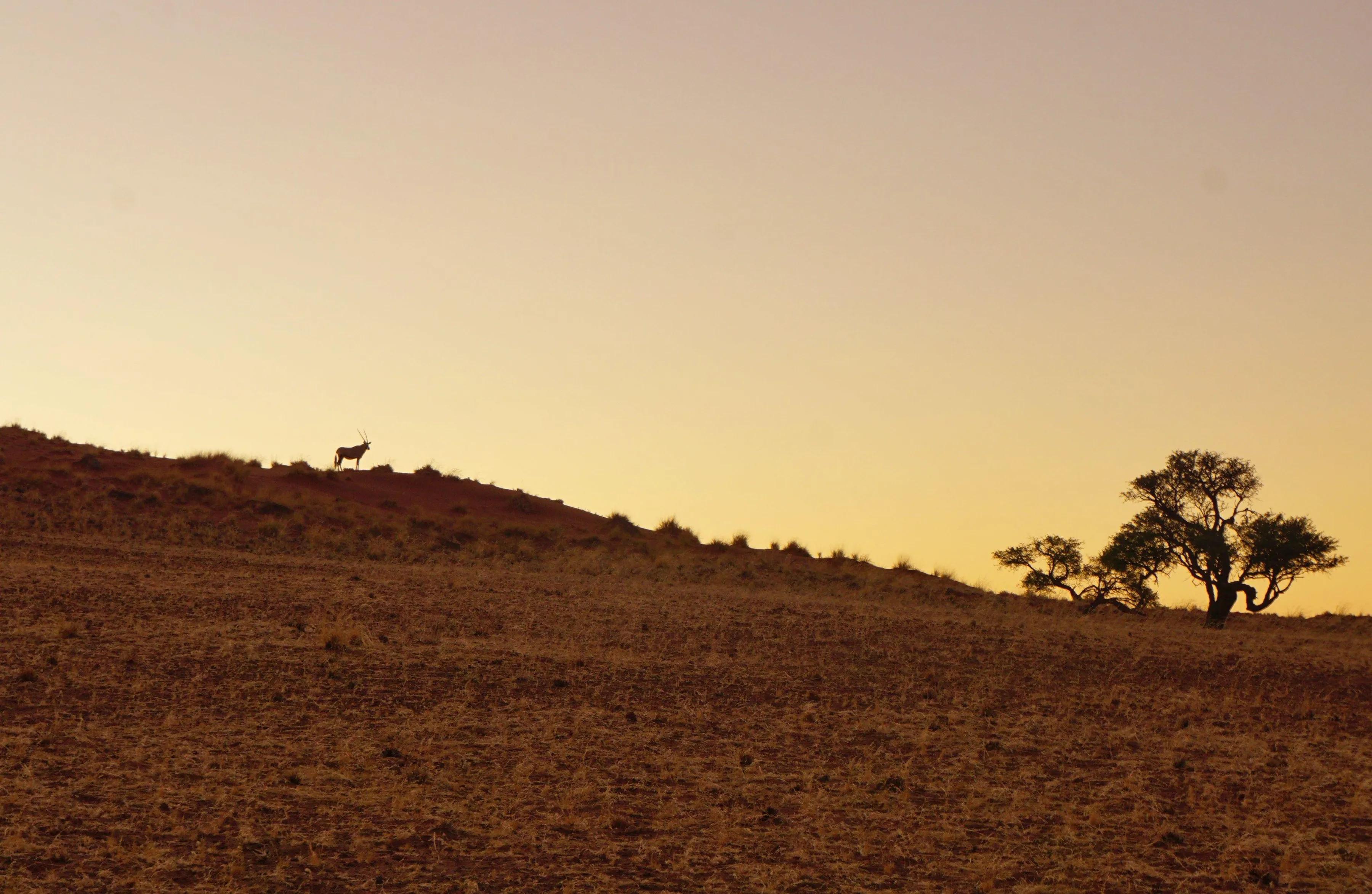 绾崇背姣斾簹绾㈣壊娌欐紶,绾崇背姣斾簹娌欐紶涔嬫梾