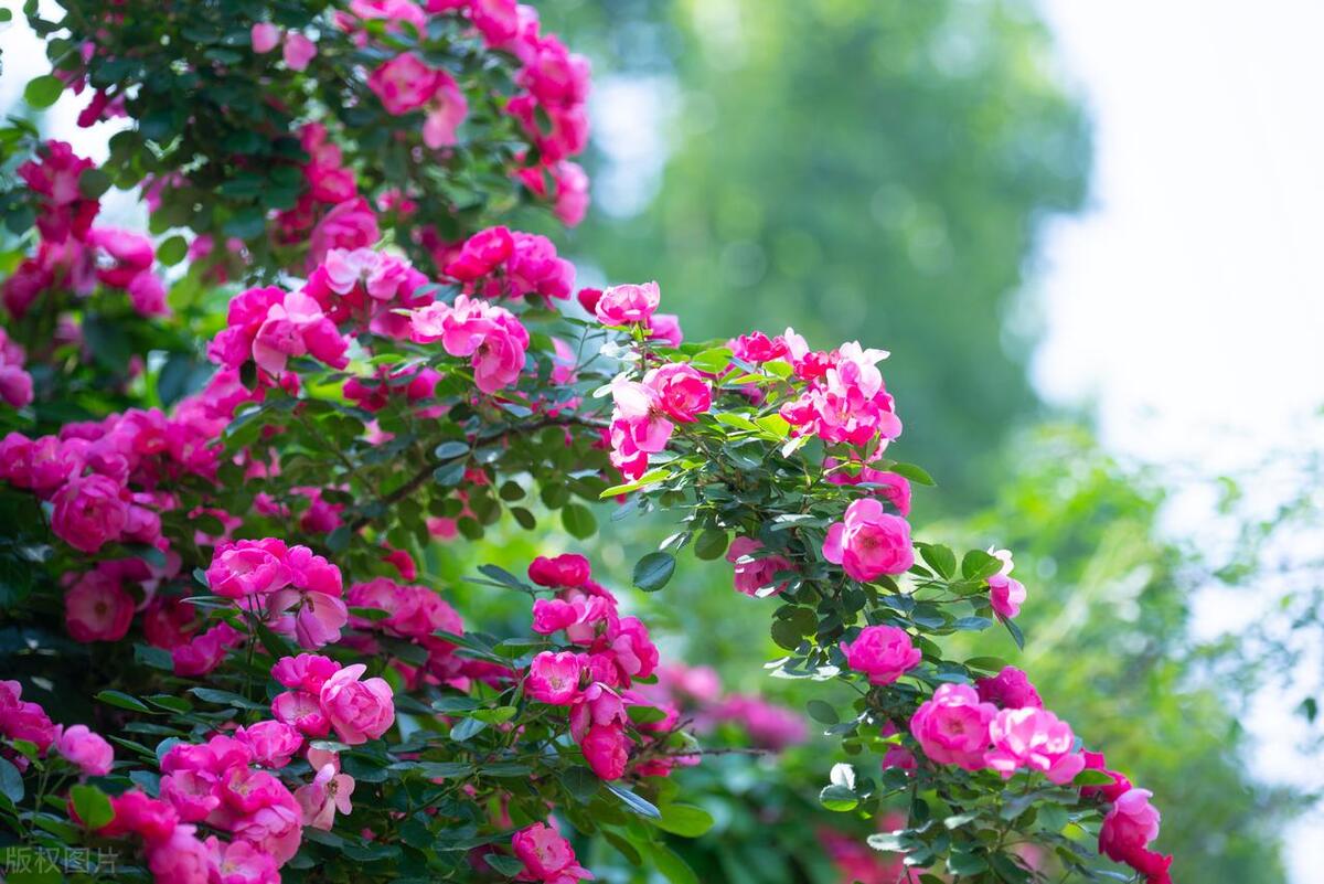 人生最值得的五大投资视频,人生最值得的五种投资