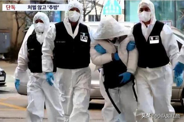 挂黄牌为什么还有人去韩国 (挂黄牌后韩国要付出多大的代价)