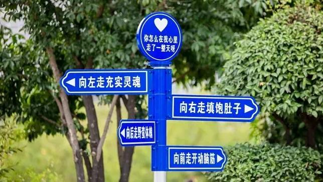 0基础怎么学会活动策划,销售活动策划方案