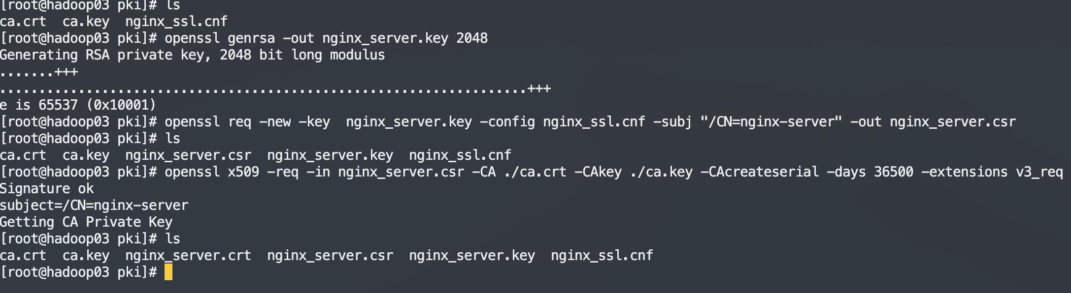 自签名证书和ca证书,制作自己的专属签名