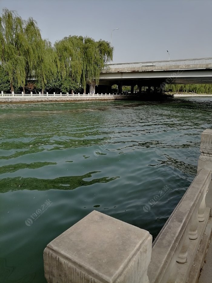 掌握这四大钓鱼技巧你也是高手,掌握这几点小窍门