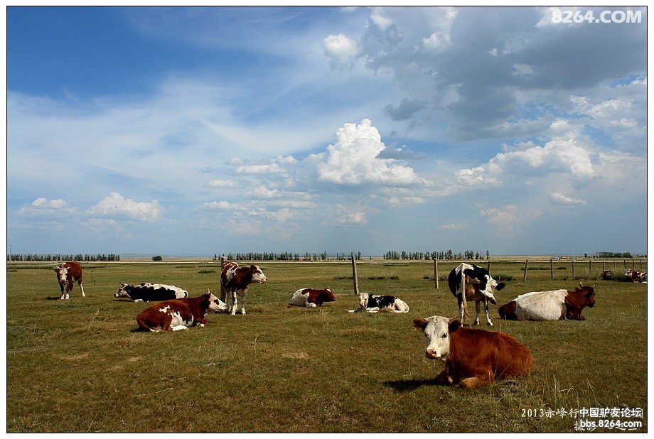 内蒙古自驾游达里诺尔,内蒙古达里诺尔湖旅游视频