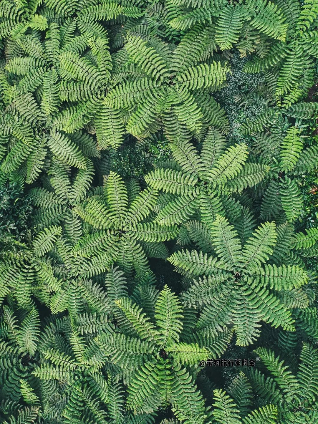 比成都好吃的火锅店,这座小城比杭州撩人美食不输潮汕