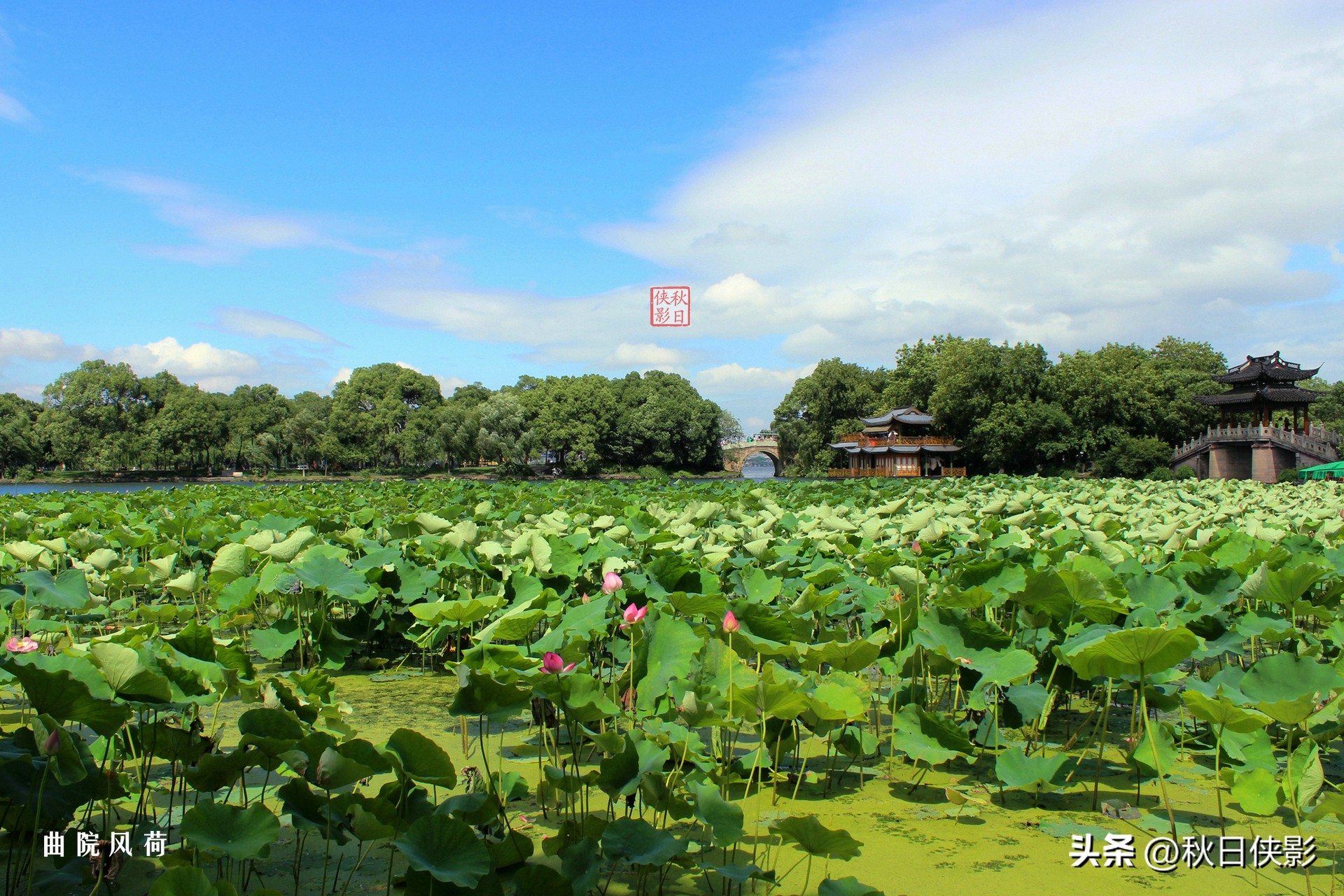 杭州西湖景点地图全图,春节杭州西湖免费景点