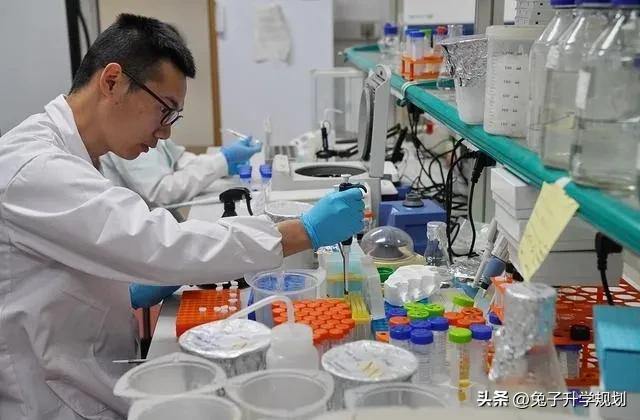 生化环材四大天坑将成为香饽饽,生化环材迎来了真正的崛起