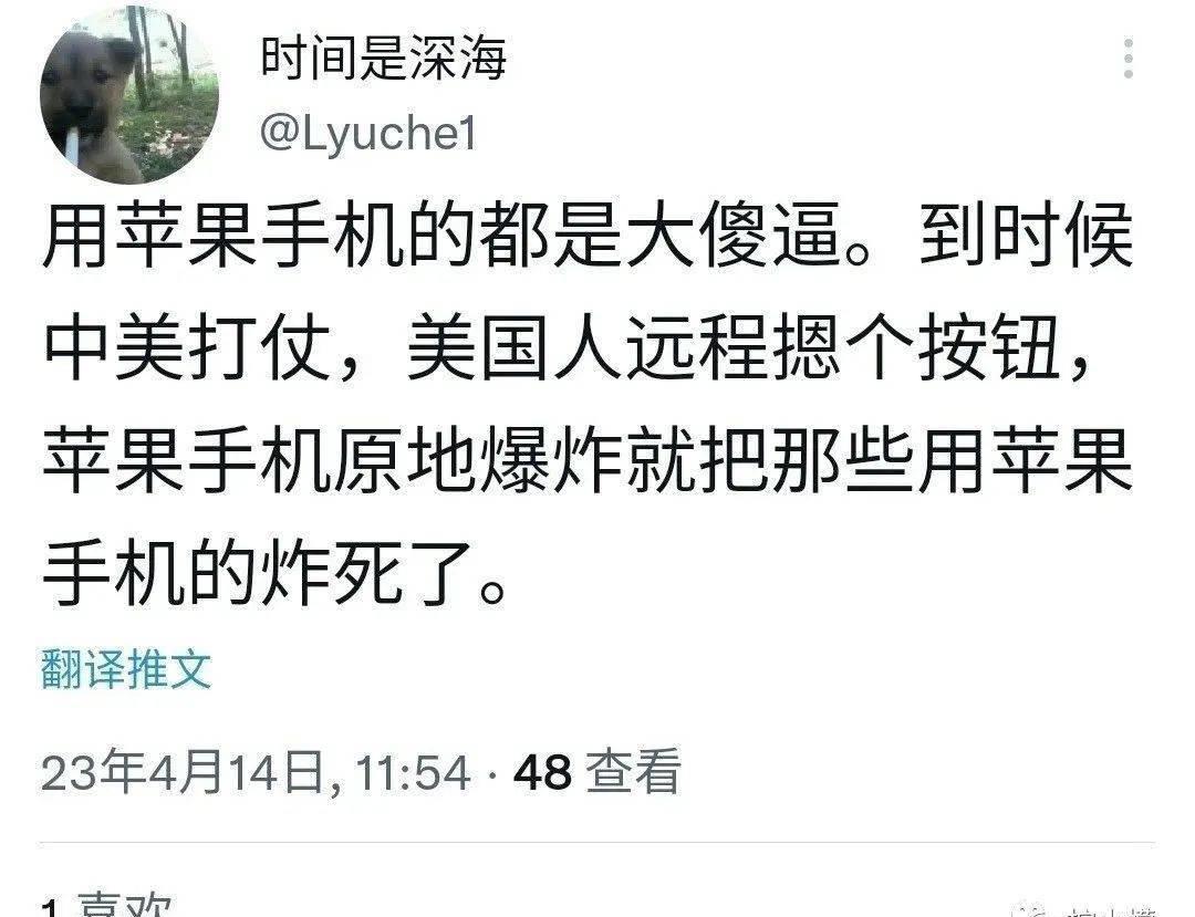 花了1000块钱拍艺术照,花了900元拍的照片