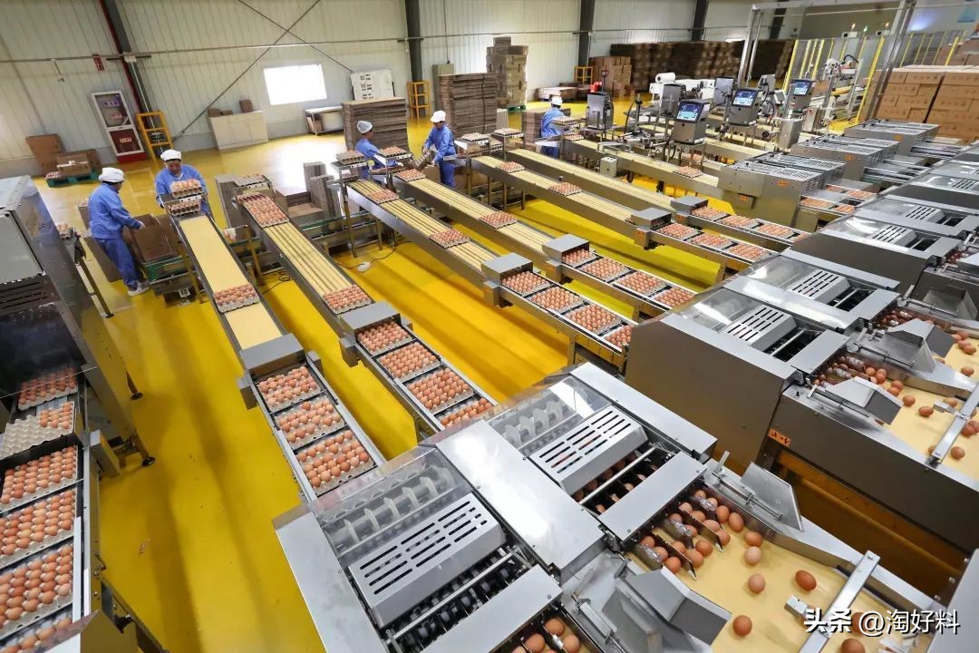 中国现在有多少大型养殖场,全国最大的养殖场排名前十