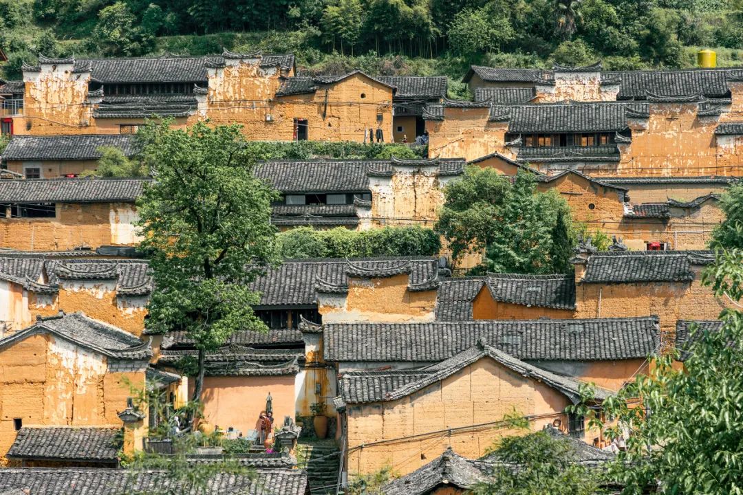 火热的周边游喂饱了本地生活,划算的周边游