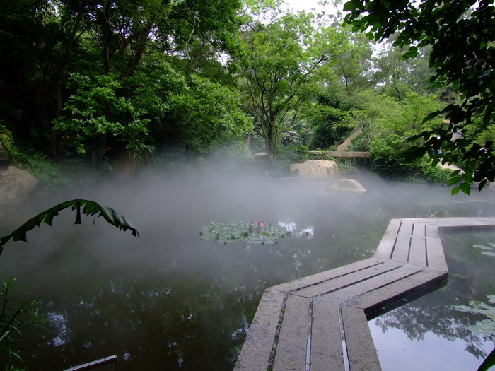 厦门风景与海滩,福建厦门冬天著名景色地点