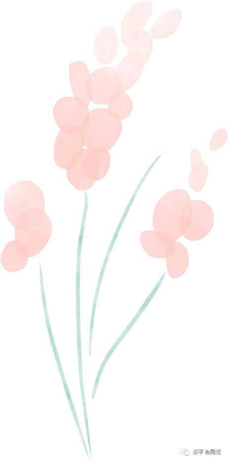 谁是帮助银行打官司的最佳人选,谁能帮助打官司