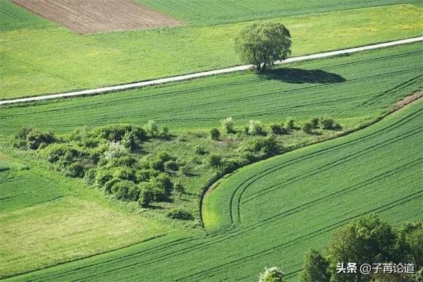 你怎么争也争不过天小视频,你怎么争都争不过天道