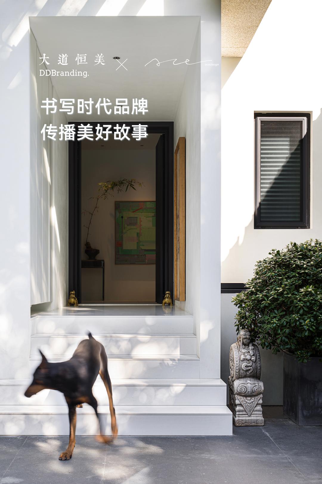 澶ч亾鎭掔編,澶ч亾鎭掔編鍊煎緱涔板悧