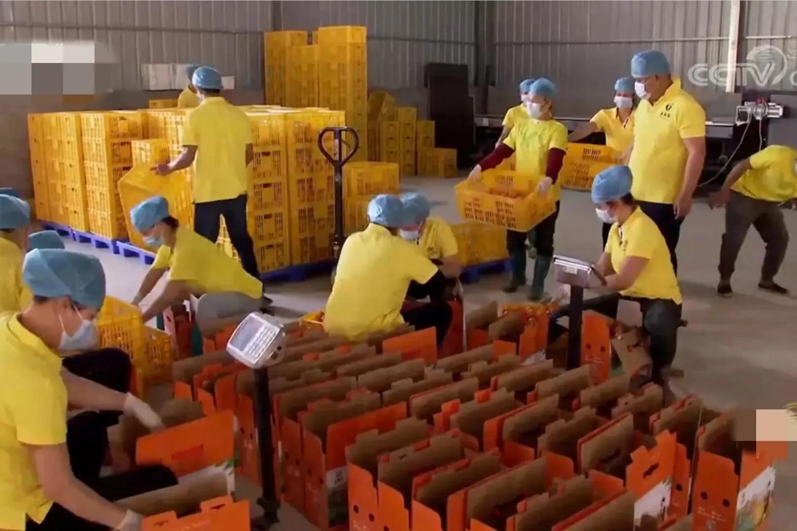 鎵垮寘鑽掑北鐪熷疄鎯呭喌,鑽掑北鑽掑湴鍒╃敤鑷村瘜