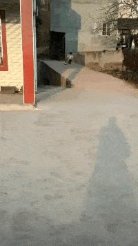 大街上看到的一幕万万想不到,大街上的一幕视频