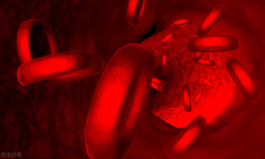 一文教会你看懂血检报告