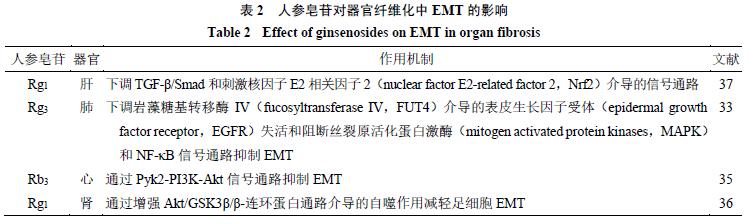 人参皂苷抗器官纤维化