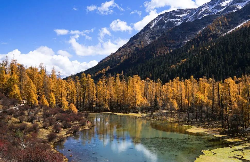 四川现代全景,四川是中国的一个缩影
