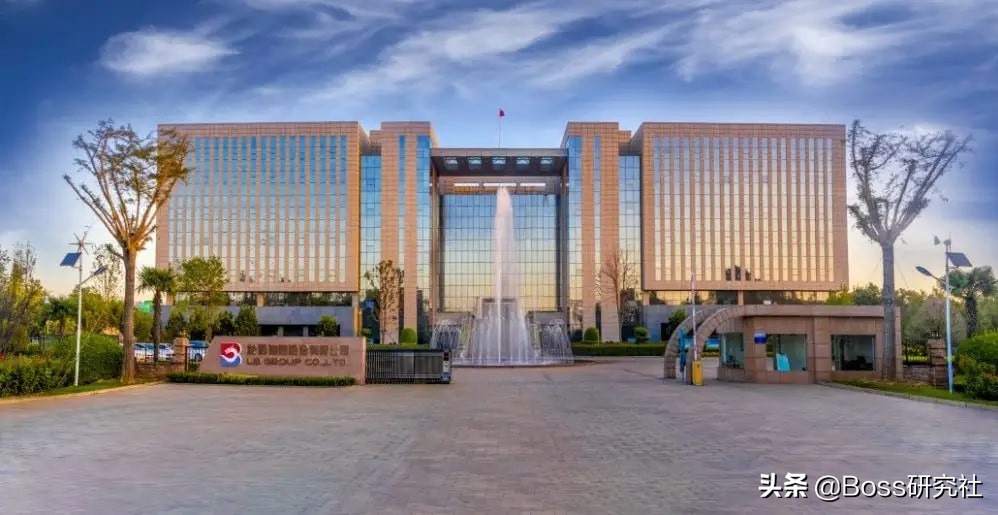 广东揭阳90后首富王泽龙，19岁找父亲借14亿，如今身价115亿