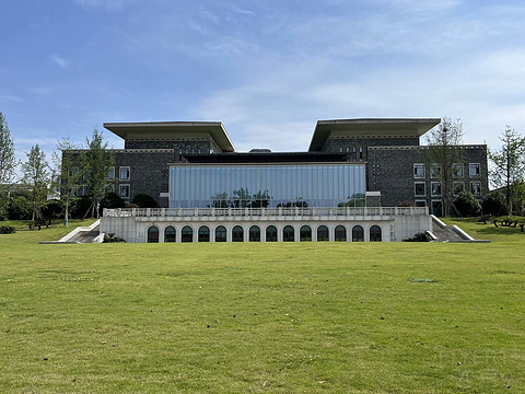 鍒濆涔嬫梾榛勯噾娴峰哺,鍒濆涔嬫梾