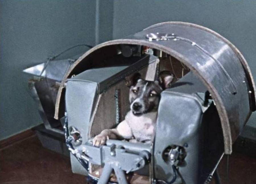 中国生产的宇航服,哪些国家可以生产宇航服