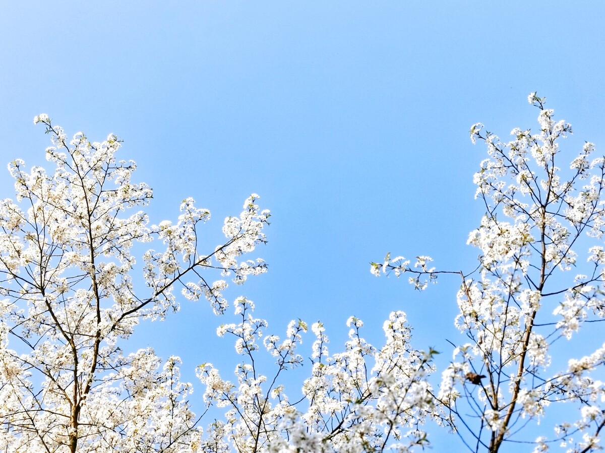 女人改变自己的最佳方法,男人改变自己的方法