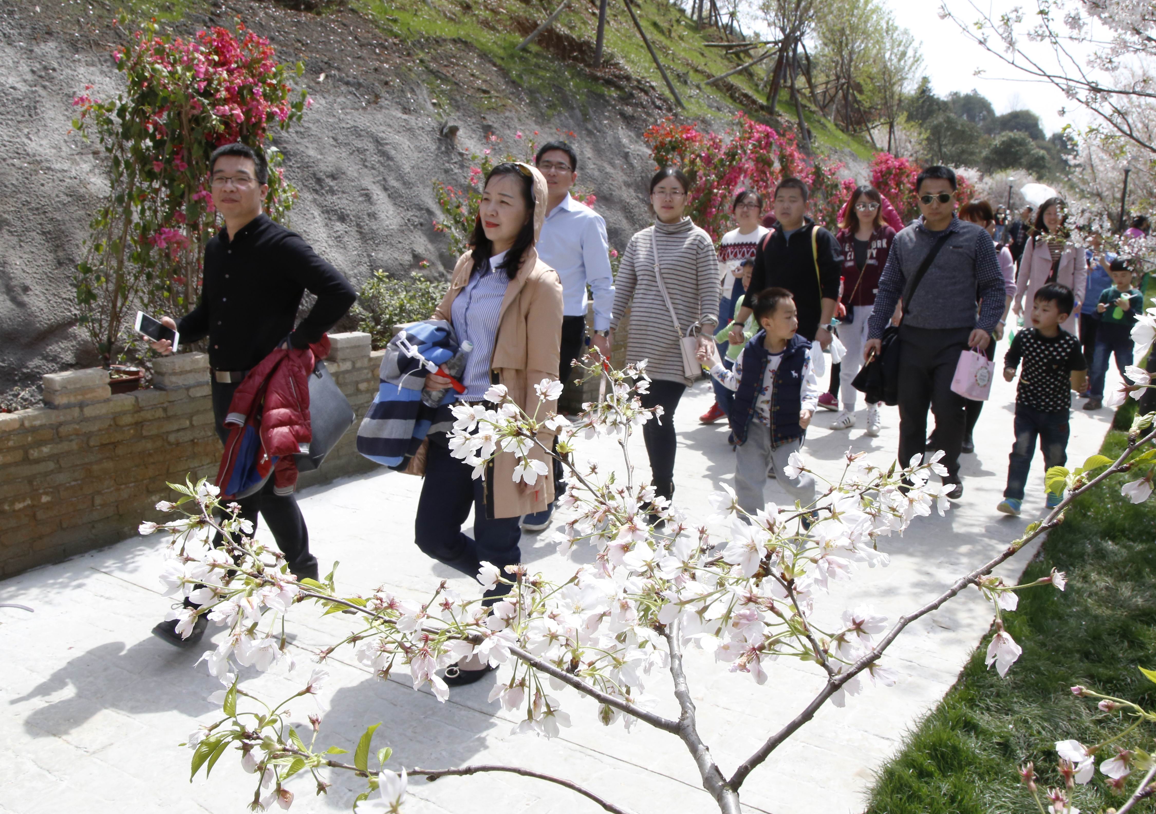 打好“医药代购牌”：长沙康多多乘势而上奏响“振兴曲”
