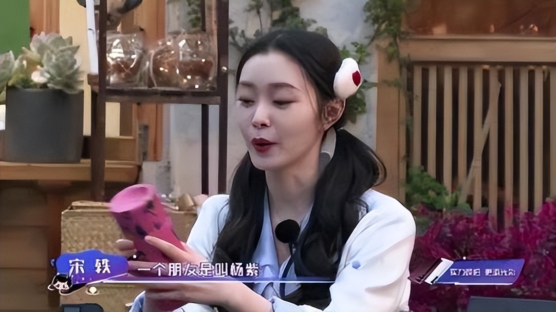 富婆杨紫,杨紫小富婆