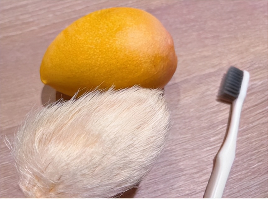 爆火！厦门流行养“芒狗”！网友：很怀疑他们的精神状态