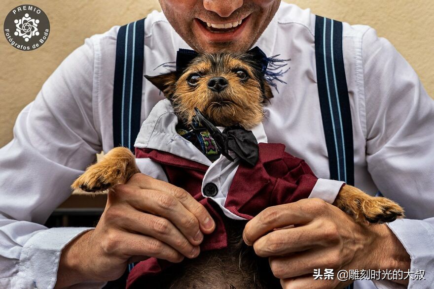 最佳婚纱摄影作品欣赏,50张婚纱摄影作品欣赏