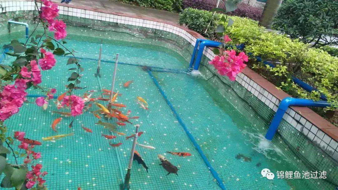 锦鲤鱼池过滤系统制作方法视频,锦鲤鱼池过滤高清详细设计图纸