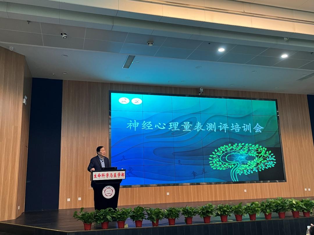 神经心理量表测试,0-6岁儿童神经心理发育量表标准