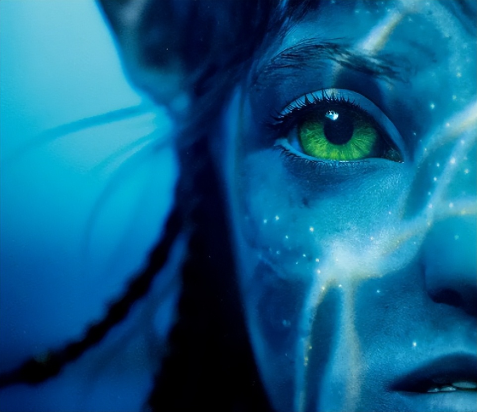 12月新片太太太太多了